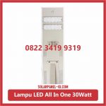 PJU Solar Cell All In One 30watt