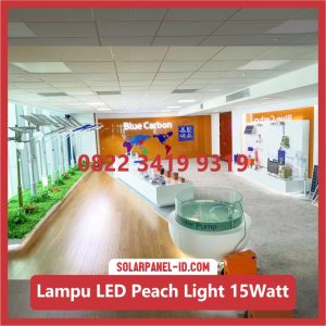 Lampu Taman Tenaga Surya Murah Peach Light 15watt