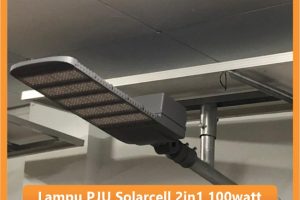 Lampu PJU Solarcell 2in1 100 watt Satu Set