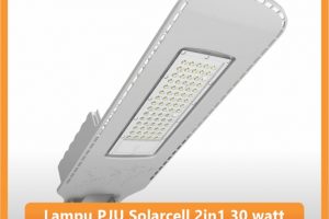Lampu PJU Solarcell 2in1 30watt